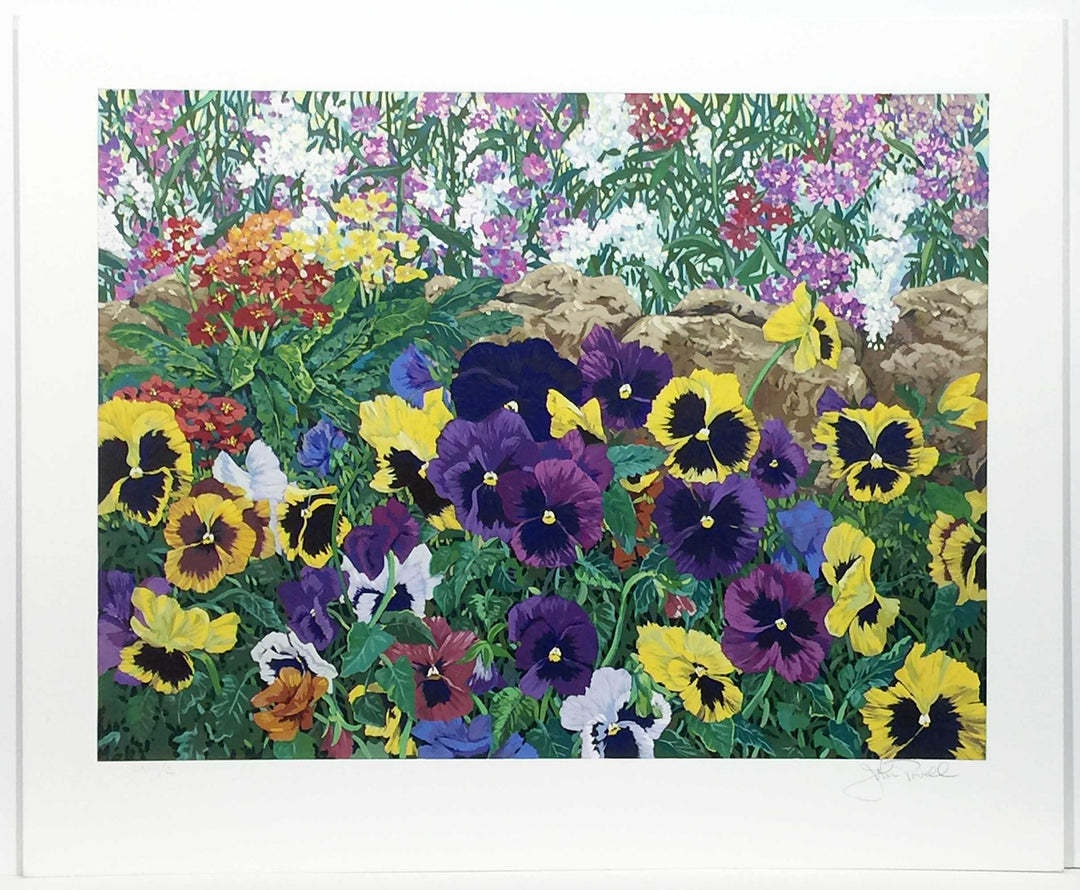 Purple-Pansies-John-Powell