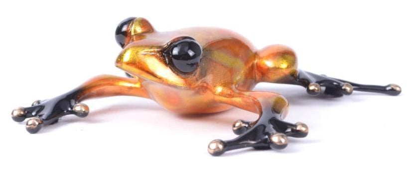solar-by-tim-cotterill-frogman