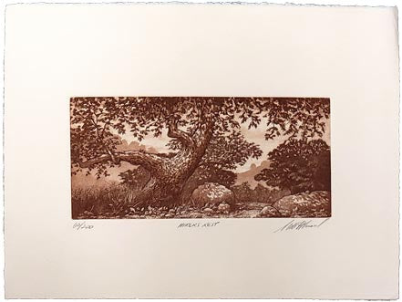 fitzgerald hiker&