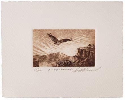 fitzgerald windy landing