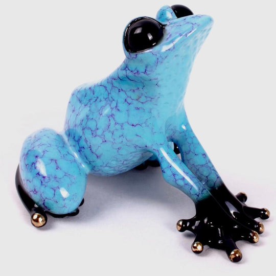 frogman capri