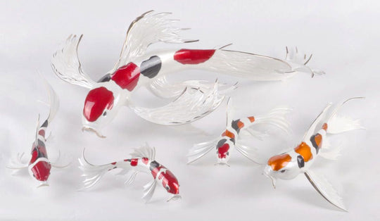 REFLECTION - Koi Fish Series - Bonsai, by Frogman