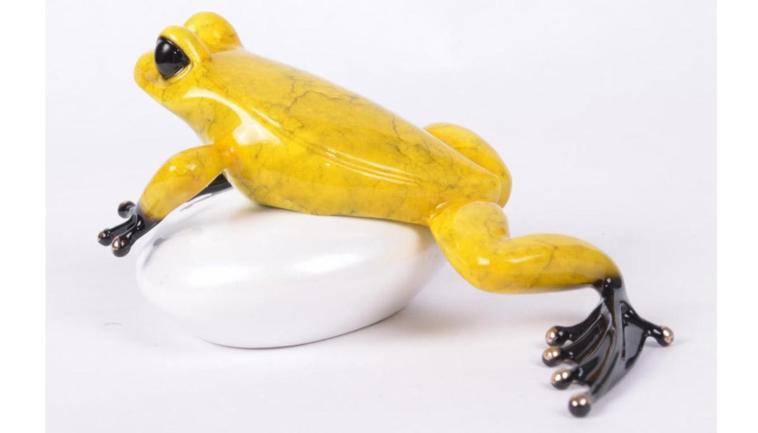 frogman rock star