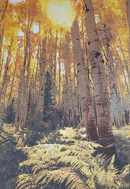 greg mcbride fall afternoon