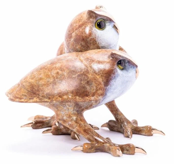 Who's Hoo, by Frogman Tim Cotterill