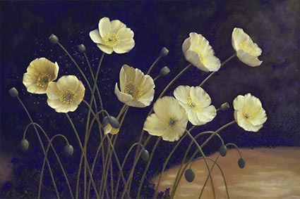 lynn freed grace