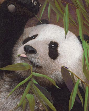 lynn freed in the bamboo