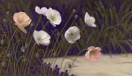 lynn freed quiet garden