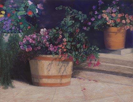 lynn freed sunshine and shadows