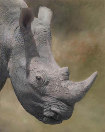 lynn freed kifaru