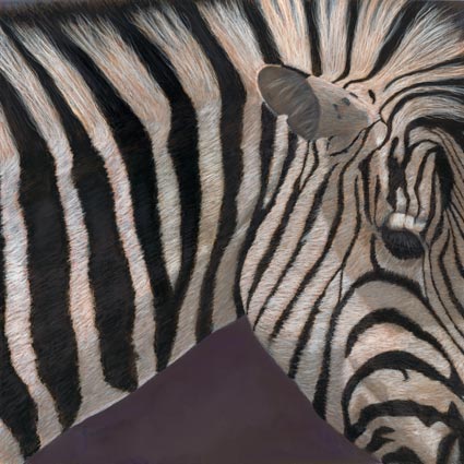 lynn freed stripes ii