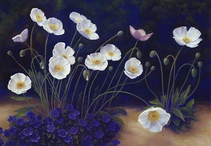 lynn freed the white poppies