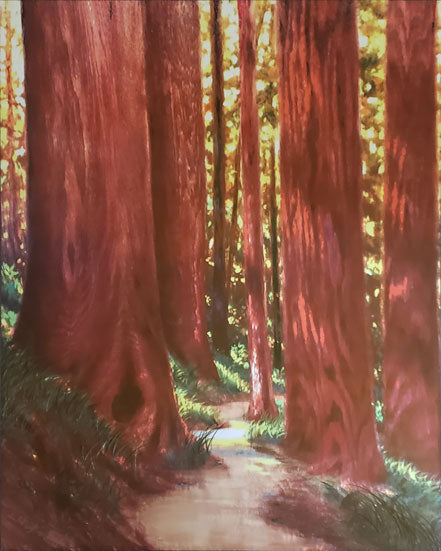 matt beyrer red woods