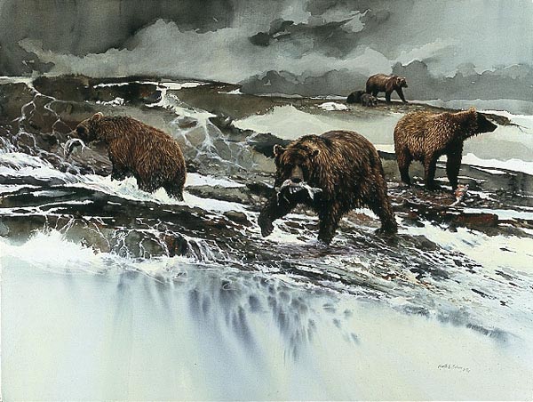 morten e solberg mcneil river fishermen