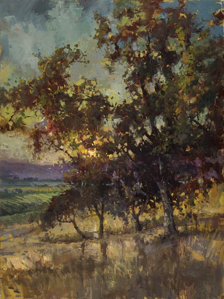 steve quartly peace and light