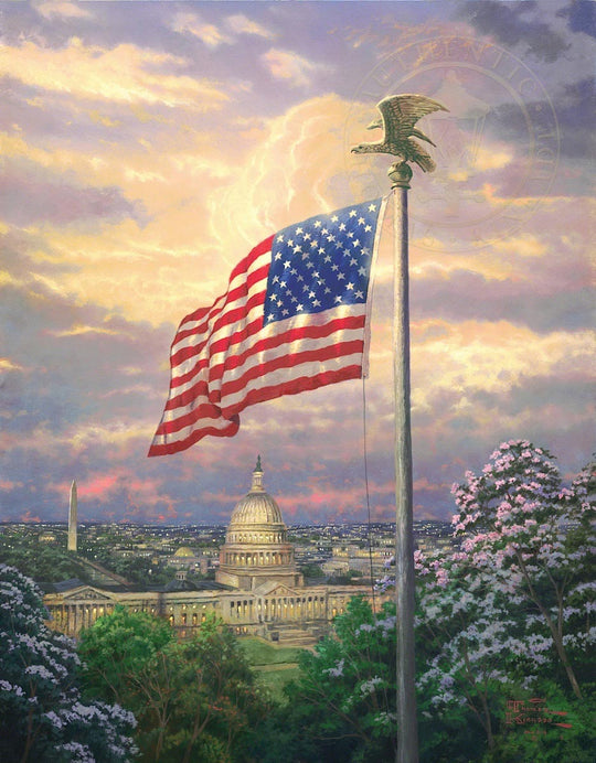 thomas kinkade america&
