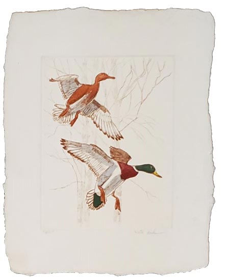 victor hohen flight ii