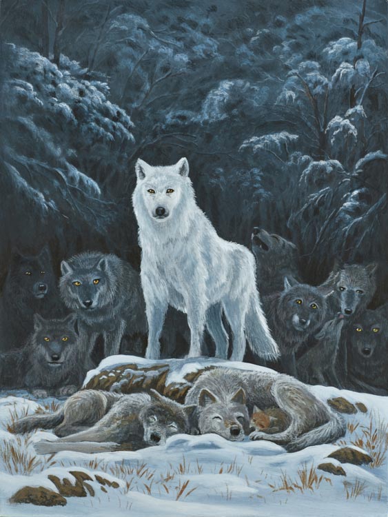 zac kinkade winter&